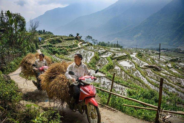 3-tägige Wanderung im atemberaubenden Muong Hoa-Tal und ethnische Gastfamilie
