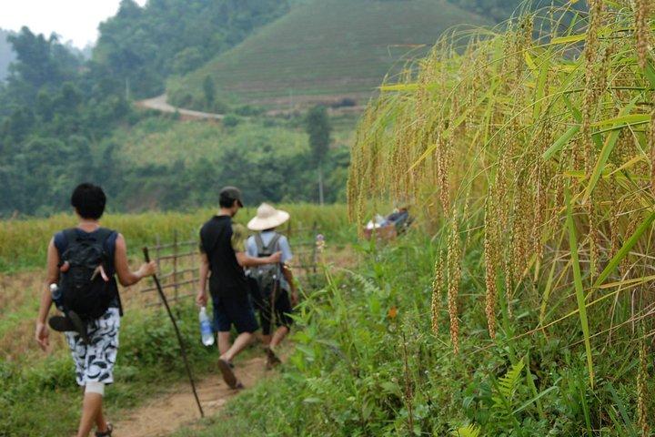 3-tägige Wanderung im atemberaubenden Muong Hoa-Tal und ethnische Gastfamilie