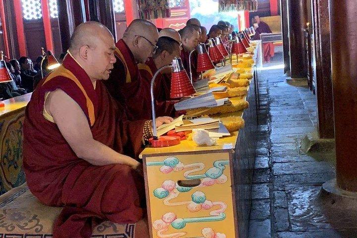 1-daagse Beijing-tour naar Temple of Heaven, Hutong Tour, Lama Temple & Summer Palace