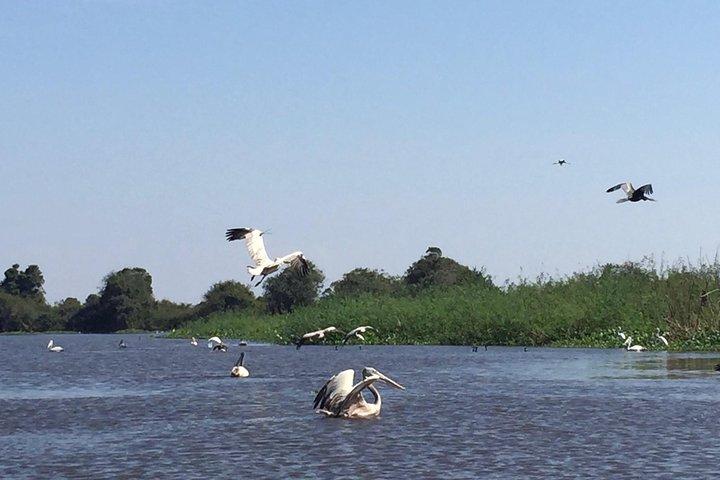 Private Tour Prek Toal Bird Sanctuary Off Beaten Track