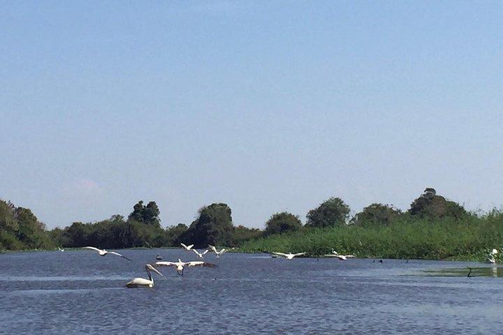 Tour Privado Prek Toal Bird Sanctuary Fora do Caminho Comum