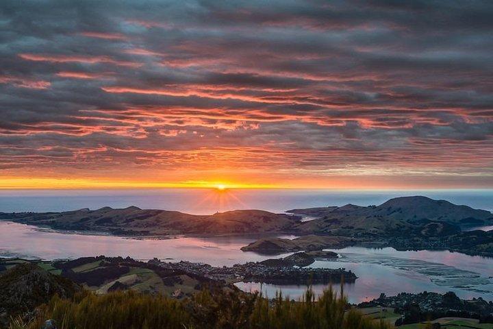 Dunedin Tour Privado 3D2N de Christchurch