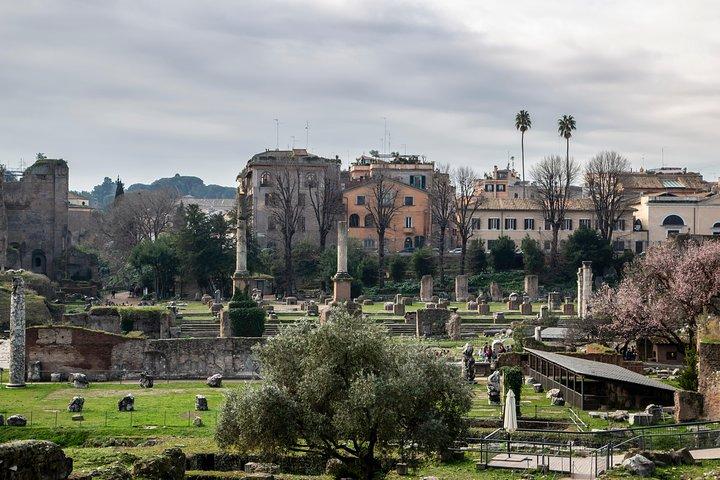 Colosseum, Forum and Ancient Rome Private Guided Tour