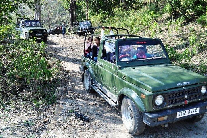 Rishikesh : Öppna Jeepsafari i Rajaji nationalpark