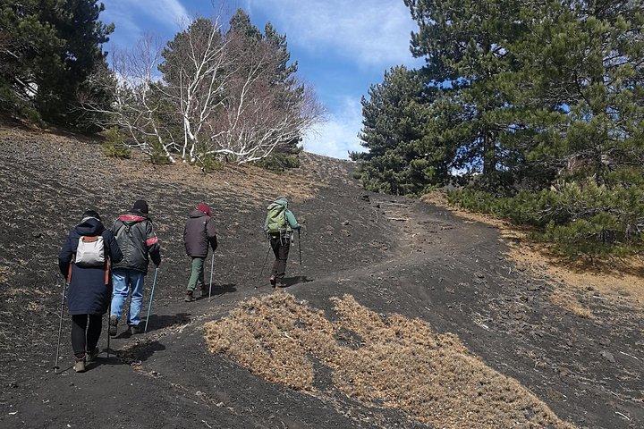 Etna og Taormina med middag