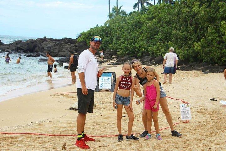 Best of Oahu Full-Day Small-Group Island Tour