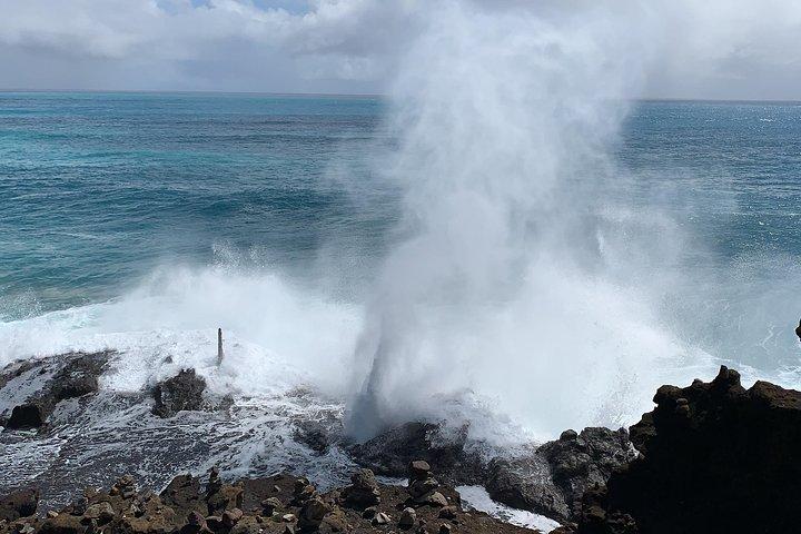 Best of Oahu Full-Day Small-Group Island Tour