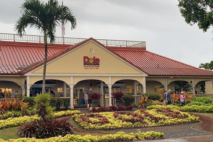 Best of Oahu Full-Day Small-Group Island Tour