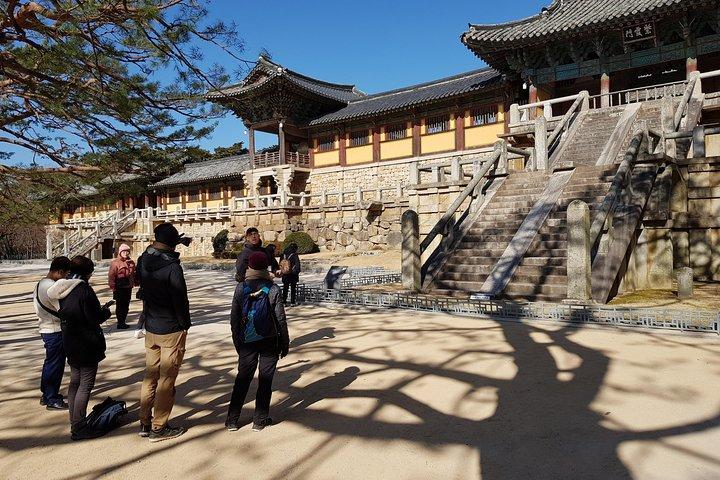 7-dages Essential Korea Tour (Seoul, Nami, DMZ, Andong, Gyeongju, Busan_Meal Incl.)