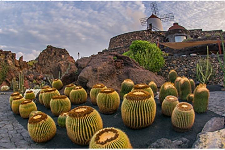 Lanzarote Highlights. Private Tour with Pickup (price per vehicle, not p.p.)