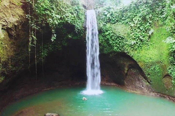 Full-Day Bali Private Customized Tours Create Your Itinerary