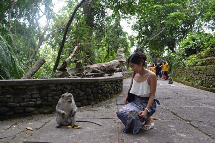 Full-Day Bali Private Customized Tours Create Your Itinerary