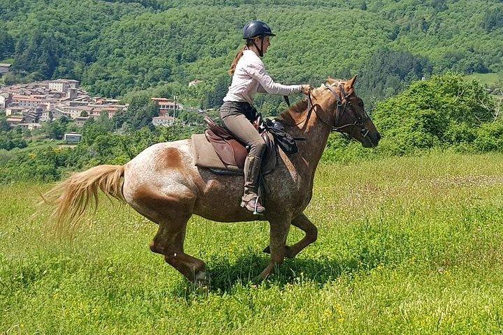 Horse Riding in Tuscany for Experienced or Beginner Riders