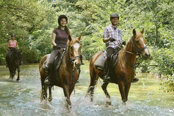 Horse Riding in Tuscany for Experienced or Beginner Riders