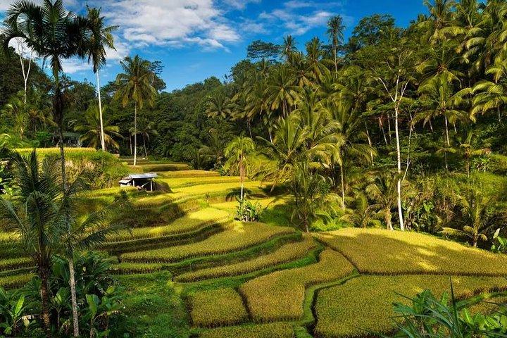 Exploring Bali in 3 Days: Discover All Bali's Highlights