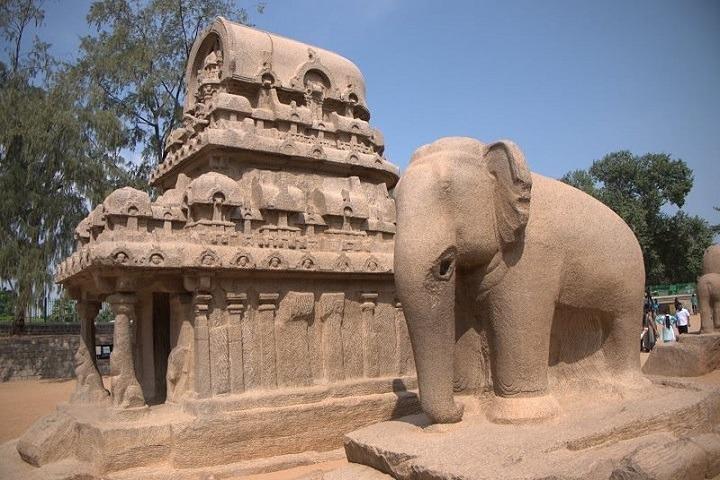 20 Dias Completo North India Delhi Agra Rajasthan Safari Tour