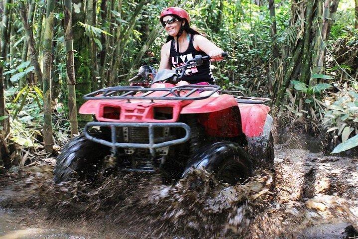 Bali ATV Quad Bike Adventure 250cc - シングルまたはタンデムバイク