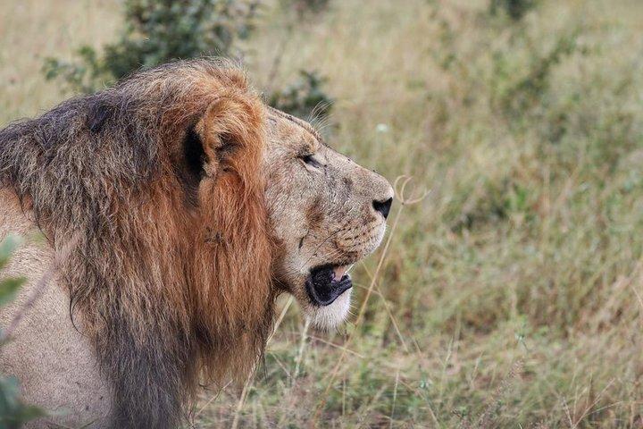 Safari de lujo en Okavango - 3 días