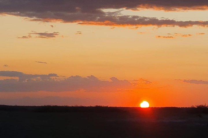 Safari de lujo en Okavango - 3 días