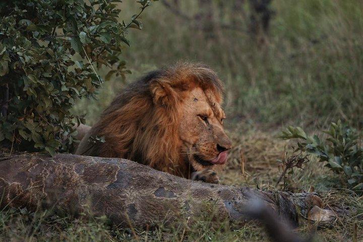 Luxury Okavango Safari - 4 Day