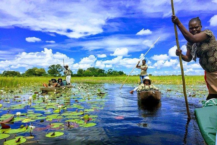 Luxury Okavango Safari - 4 Day