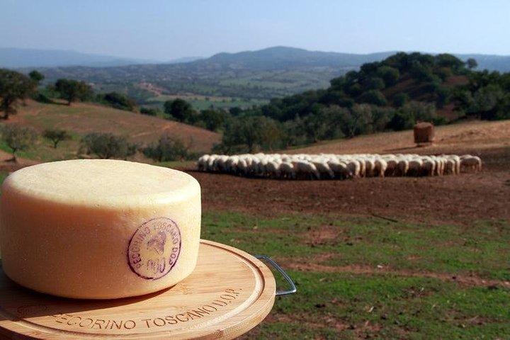 Pecorino Cheese Factory & Chianti Wine Tour i Toscana - Den perfekte kombination