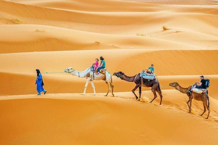 3DíasCircuito Al Desierto Via Fez Desde Marrakech