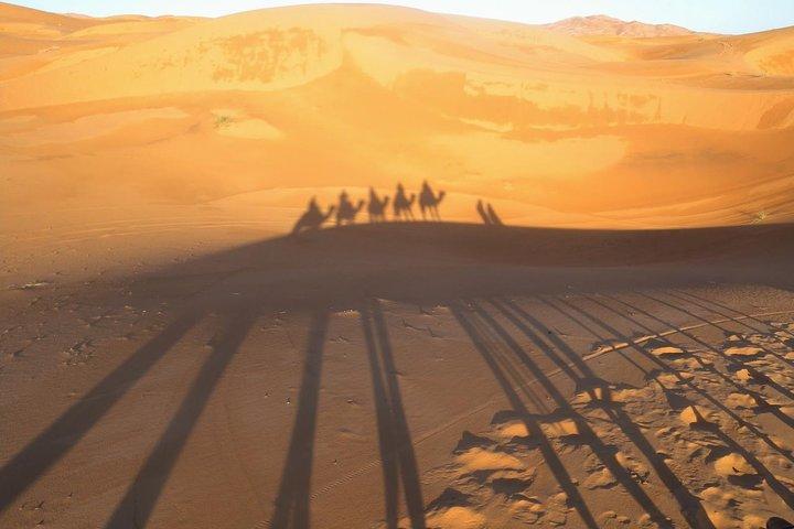 3DíasCircuito Al Desierto Via Fez Desde Marrakech