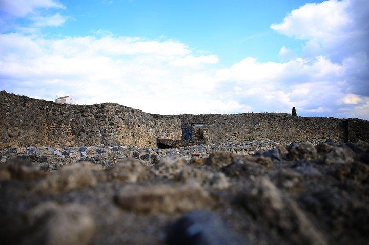 Visite privée d'une demi-journée des points forts des ruines de Pompéi et de Mann
