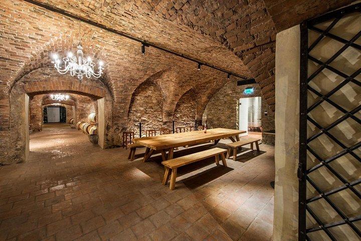 Excursion d'une journée au départ de Bratislava : visite d'une cave avec dégustation de vins à la campagne