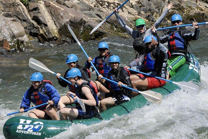 Viaje de rafting en aguas bravas de South Fork de medio día desde Lotus (clase 2-3 +)