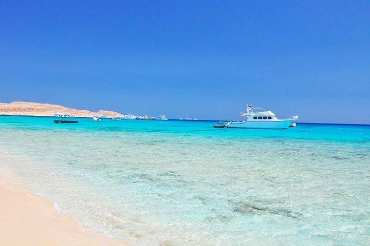 Sharm: excursion d'une journée complète avec tuba à Ras Mohamed et White Island avec déjeuner