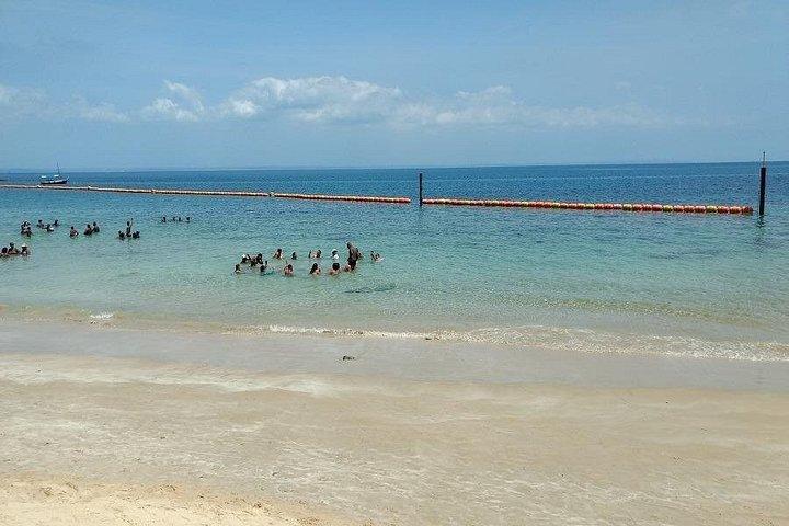 スクーナーの旅サルバドール・バイーアを離れて、Ilha dos Fradesのみ。