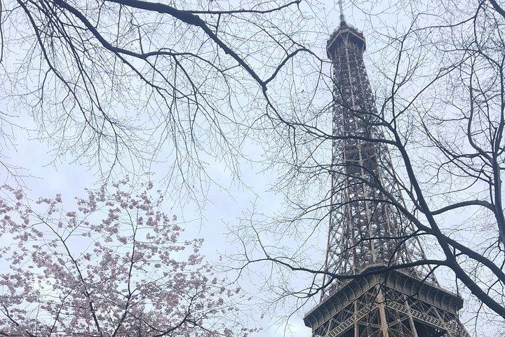 VIPパリ1日：モンマルトル、ルーブル、シテ島、クルーズ