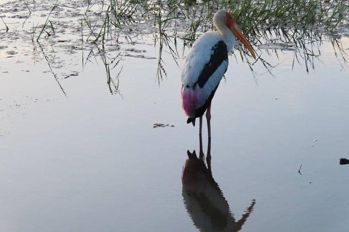 Hoteller i nærheden af Kalametiya Bird Watching Safari