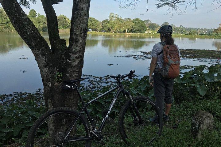 コロンボからのタランガマ湿地サイクリング ツアー