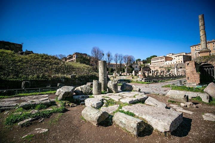 Op maat gemaakte privérondleiding door Rome Colosseum Forums Palatine Hill & Ancient Rome