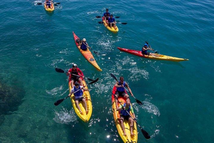 Mangroves Kayaking with Pickup & Drop Off