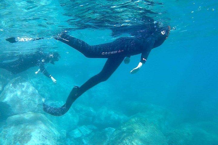 ホテルピックアップ付きグランカナリア島でのシュノーケリング