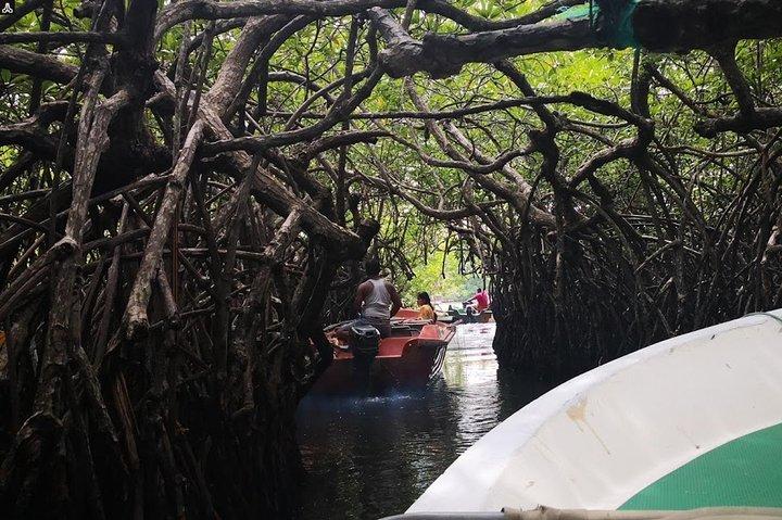 Lunuganga Estate, Tortugas y río Madu desde Tangalle/Hiriketiya