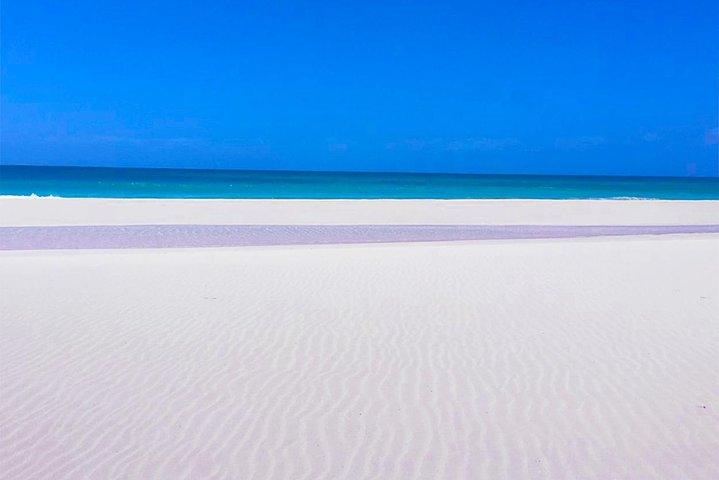 Boa Vista Island: tour di mezza giornata + Santa Monica Beach in 4x4