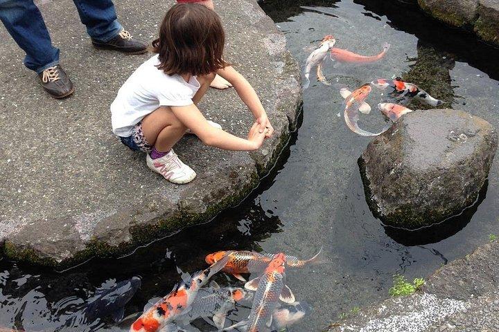 プライベート長崎・島原文化と自然ハイライトツアー