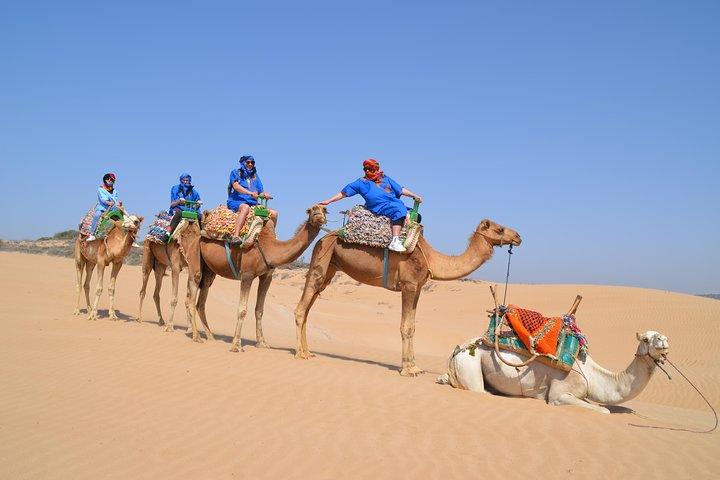 Essaouira Balade aventure de 2 Heures à Dos de Dromadaire