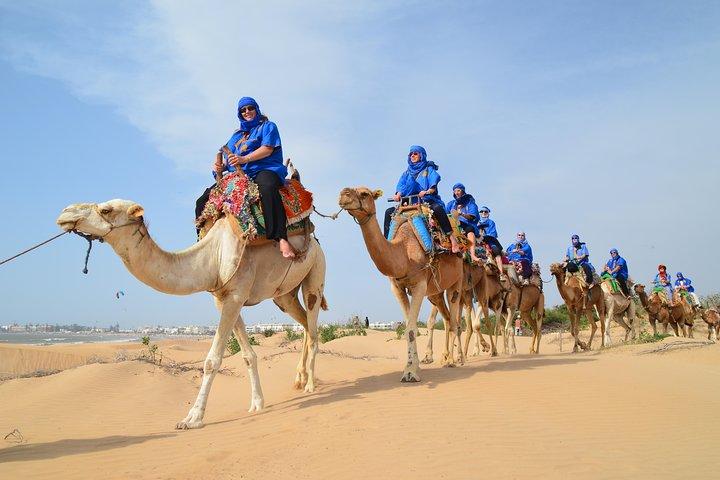 Essaouira Balade aventure de 2 Heures à Dos de Dromadaire