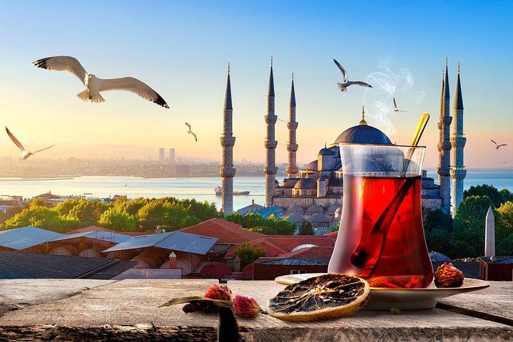Old Istanbul Private Tour for Kids and Families