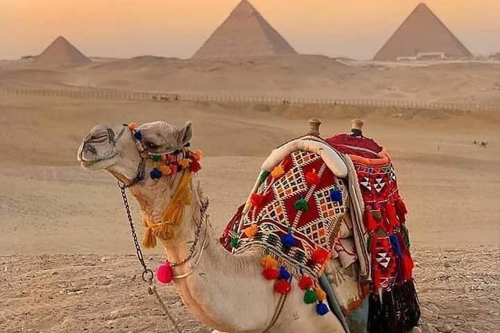 Excursión privada de medio día a las pirámides de Giza en camello o caballo