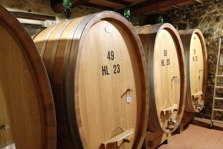 Tour per piccoli gruppi con degustazione del vino Brunello di Montalcino da Siena