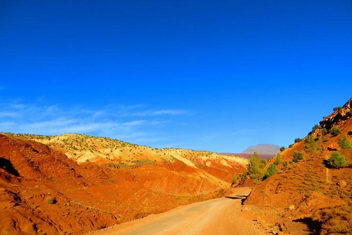 ワルザザートからの日帰り旅行：Teloute、Ait Ben Haddou、Oasis Fint、ランチ付き