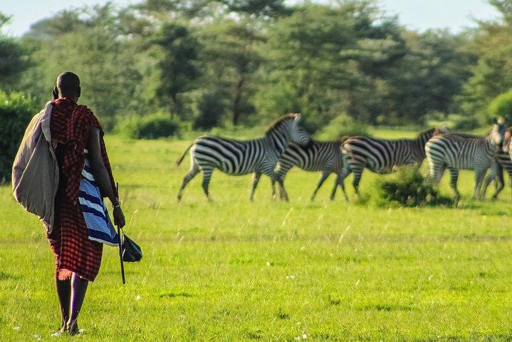 5 dias de safári Maasai mara/Nakuru/Naivasha
