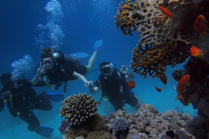 3-dagars Mombasa-tur - City Tour, Watamu & Diani